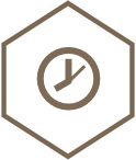 clock icon